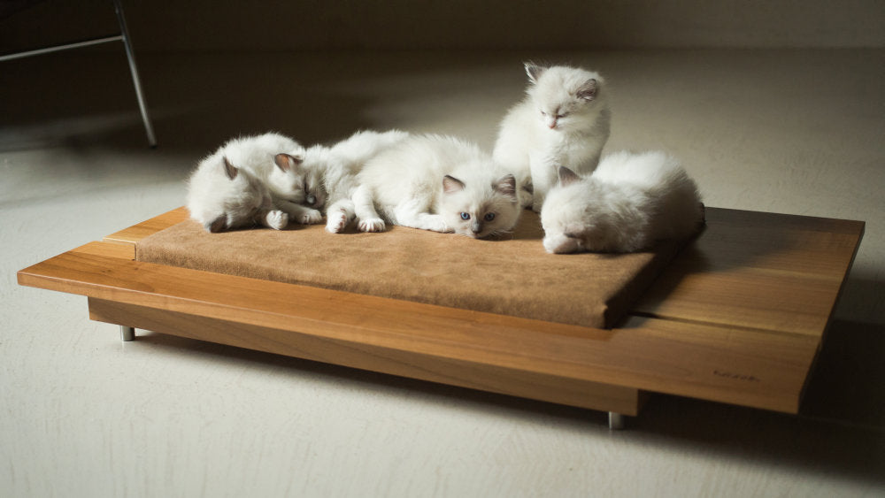 MIRA 1 Solid Wood Luxury Cat and Dog Bed with Pillow | Brando Design