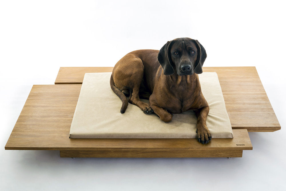 MIRA 2 Luxury Wooden Cat and Dog Bed with Pillow | Brando Design