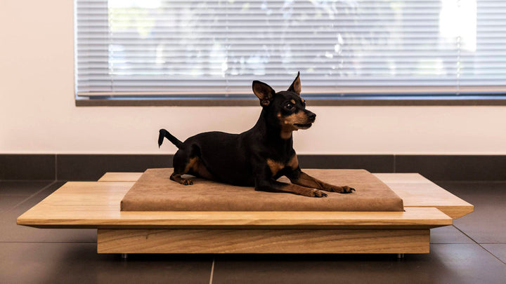 MIRA 2 Luxury Wooden Cat and Dog Bed with Pillow | Brando Design