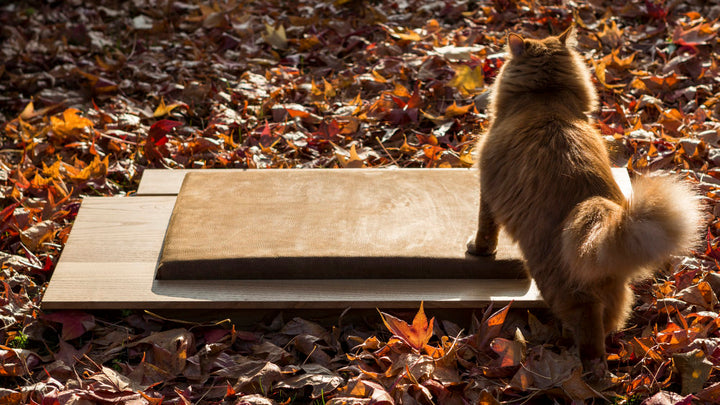 MIRA 2 Luxury Wooden Cat and Dog Bed with Pillow | Brando Design