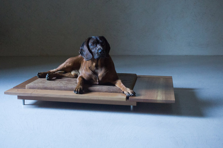 MIRA 3 Luxury Wooden Cat and Dog Bed with Pillow | Brando Design