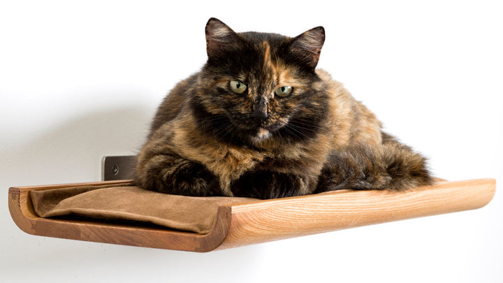 TRONO Solid Wooden Cat Shelf in 1960s Style | Brando Design