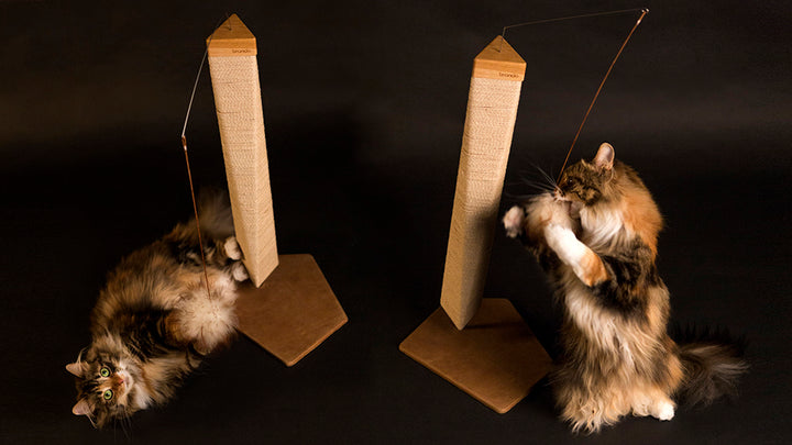 TORRE Innovative Scratching Post for Cat in Wood | Brando Design