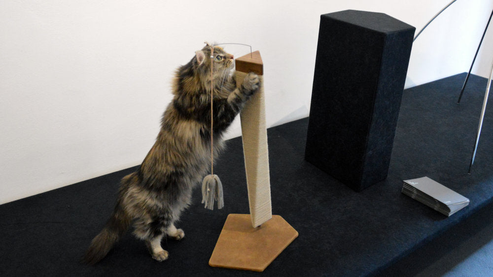 TORRE Innovative Scratching Post for Cat in Wood | Brando Design
