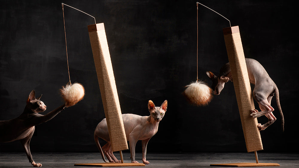 TORRE Innovative Scratching Post for Cat in Wood | Brando Design