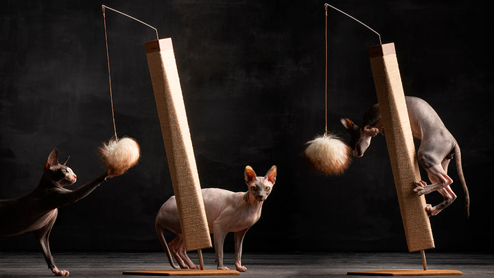 TORRE Innovative Scratching Post for Cat in Wood | Brando Design