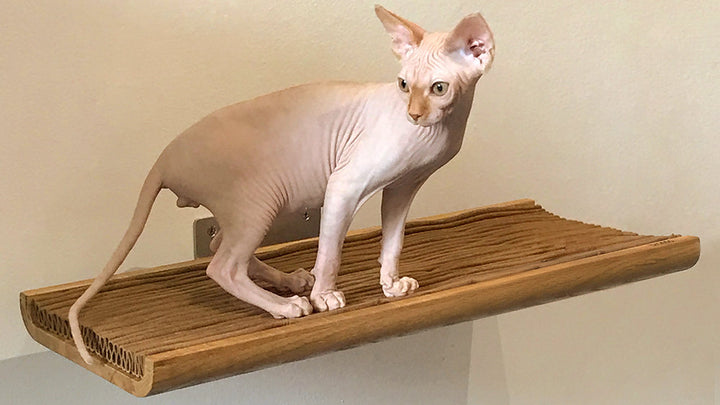 TRONO Solid Wooden Cat Shelf in 1960s Style | Brando Design