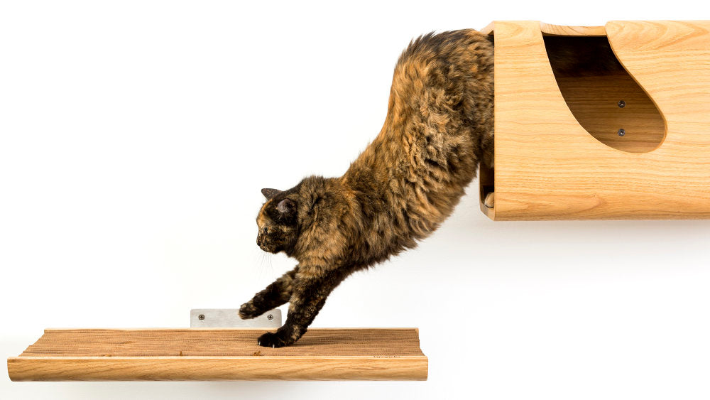 TRONO Solid Wooden Cat Shelf in 1960s Style | Brando Design