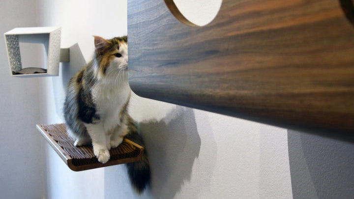 TRONO Solid Wooden Cat Shelf in 1960s Style | Brando Design