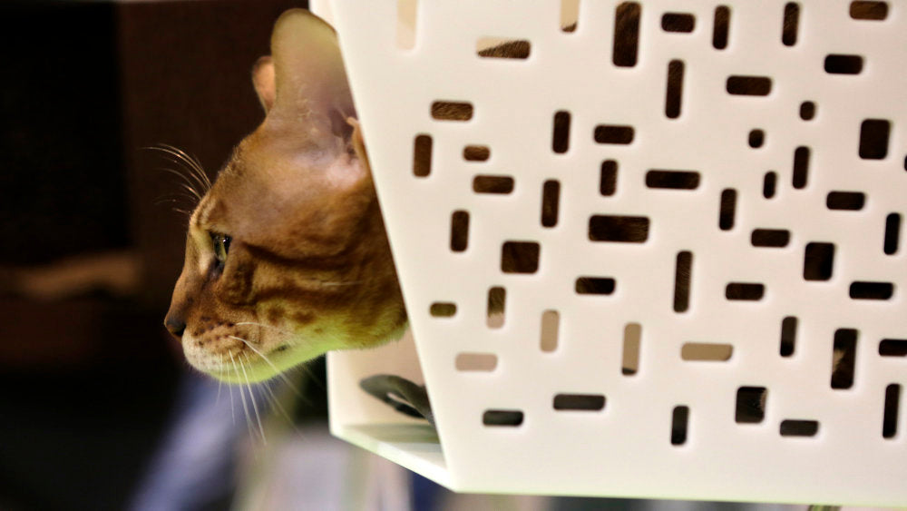TUNNEL Luxury Wall Cat Bed Wall in Betacryl | Brando Design