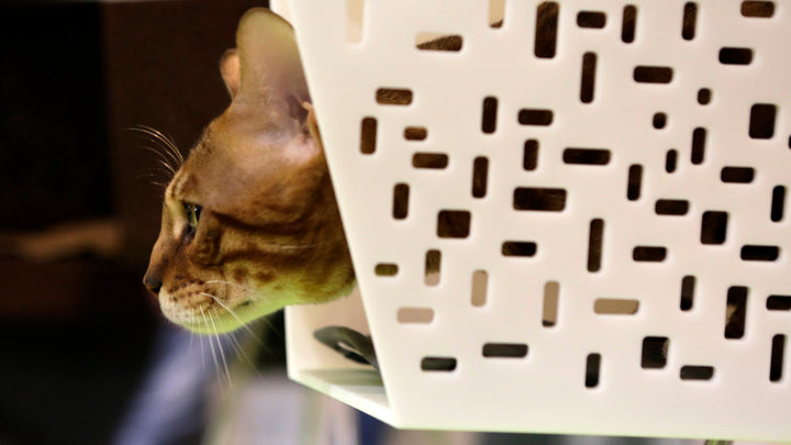 TUNNEL Luxury Wall Cat Bed Wall in Betacryl | Brando Design
