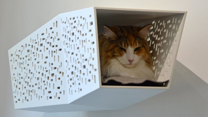 TUNNEL Luxury Wall Cat Bed Wall in Betacryl | Brando Design