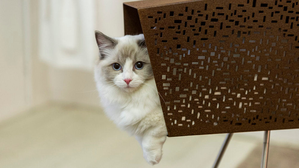 TUNNEL Luxury Cat Bed in Corten with Pedestal | Brando Design