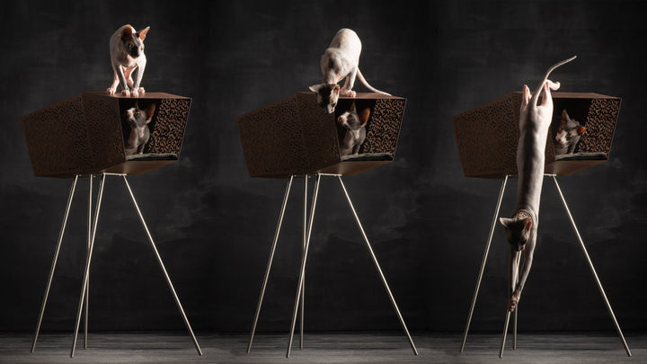 TUNNEL Luxury Cat Bed in Corten with Pedestal | Brando Design