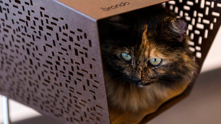 TUNNEL Luxury Cat Bed in Corten with Pedestal | Brando Design