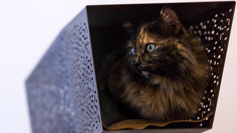 TUNNEL Luxury Wall Cat Bed Wall in Corten | Brando Design