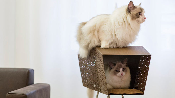 TUNNEL Luxury Cat Bed in Corten with Pedestal | Brando Design