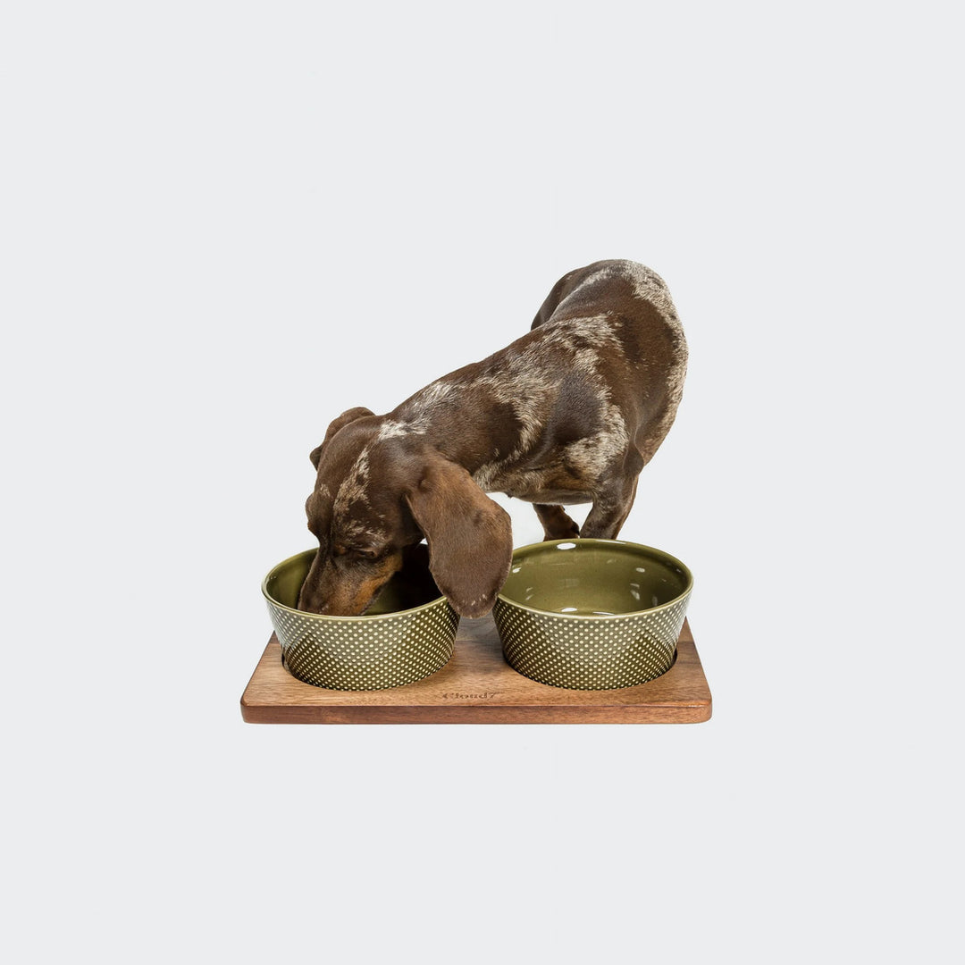 Wooden Feeding Station Set Alain by Cloud7 – Designer Pet Dining