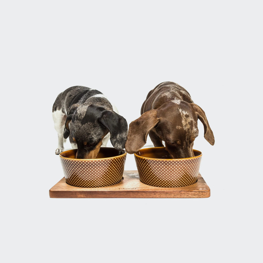 Wooden Feeding Station Set Alain by Cloud7 – Designer Pet Dining