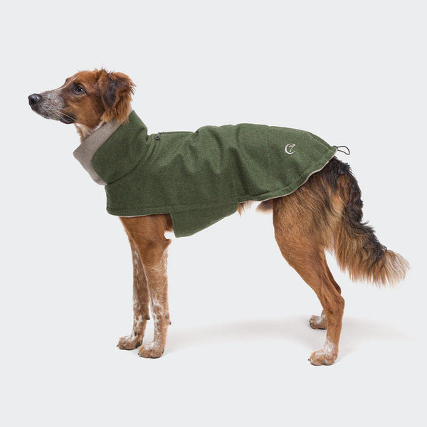 Cloud7 Brooklyn Flannel Dog Coat Fern Green  Warm & Stylish
