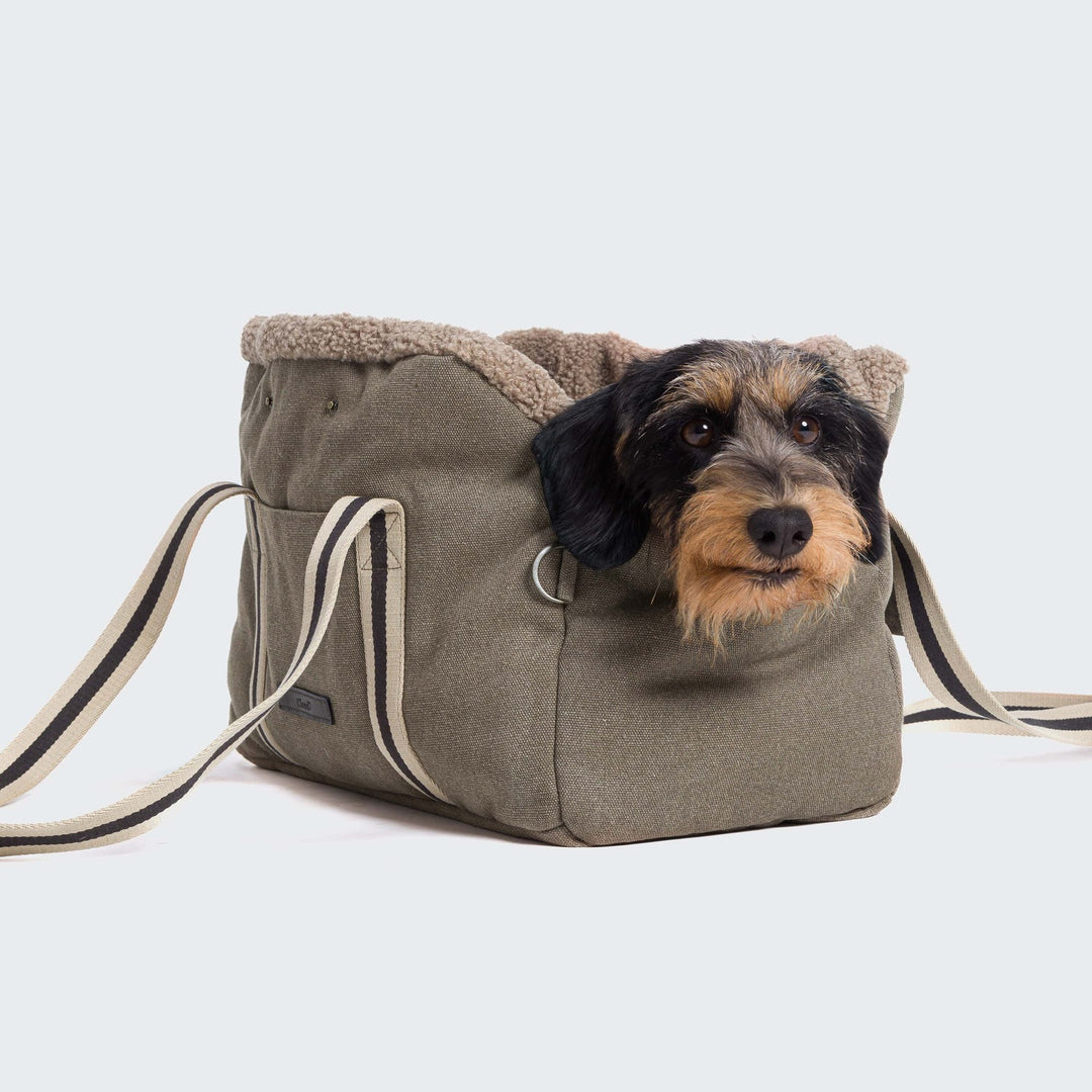 Cloud7 Lucca Dog Carrier Sand – Premium Canvas Pet Bag