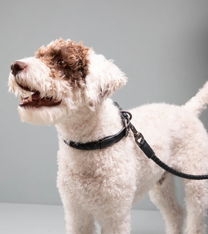 Ferdinando Braided Leather Leash for Dog | 2.8 Duepuntootto