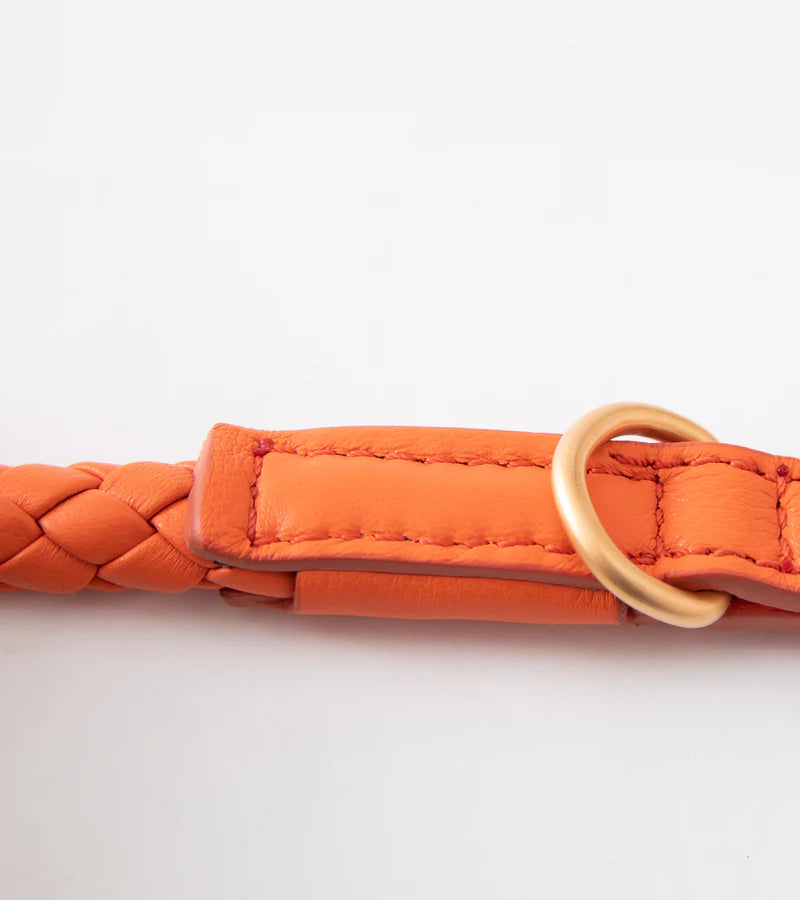 Ferdinando Braided Leather Leash for Dog | 2.8 Duepuntootto