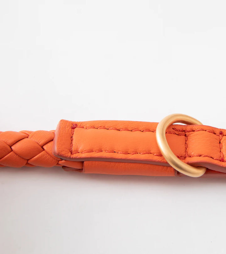 Ferdinando Braided Leather Leash for Dog | 2.8 Duepuntootto