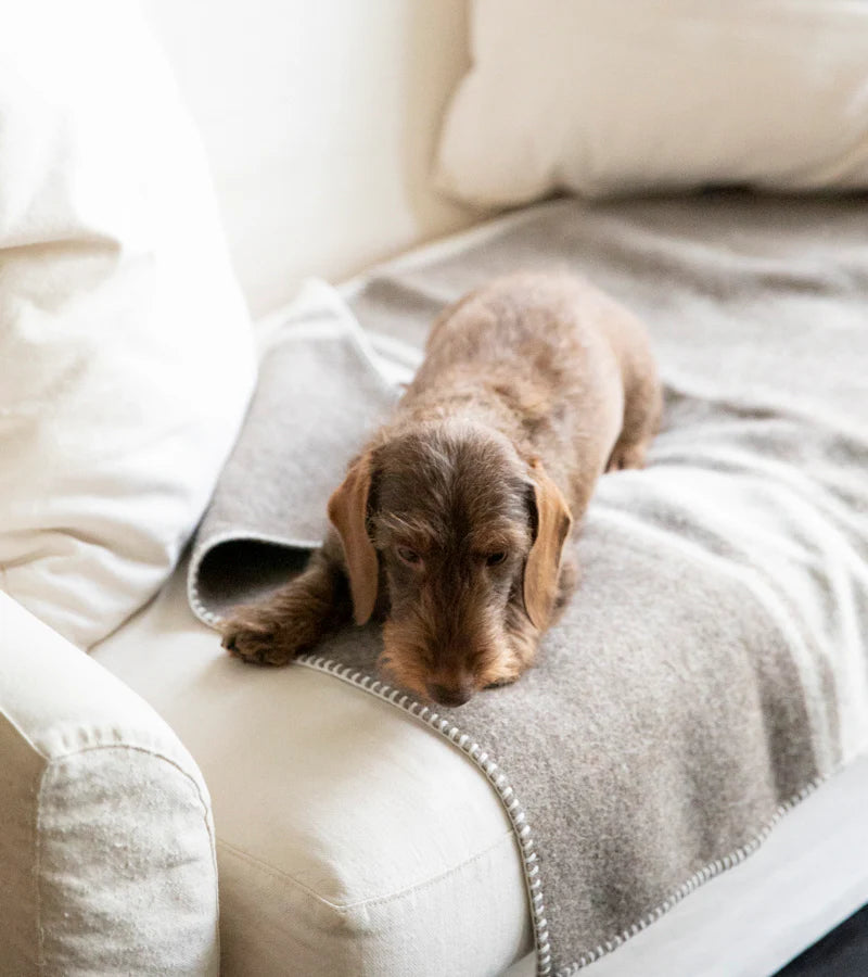Ansel Blanket Recycled Wool for Pets 2.8 Duepuntootto Design for Dogs