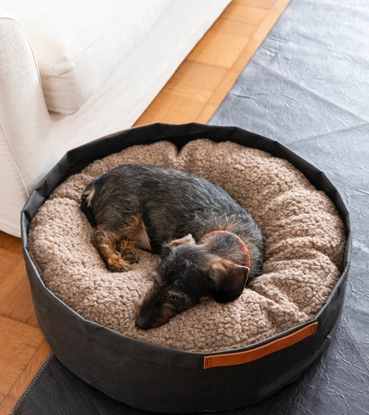 Irving – Cushion in Paper for Pets | 2.8 Duepuntootto Design for Dogs
