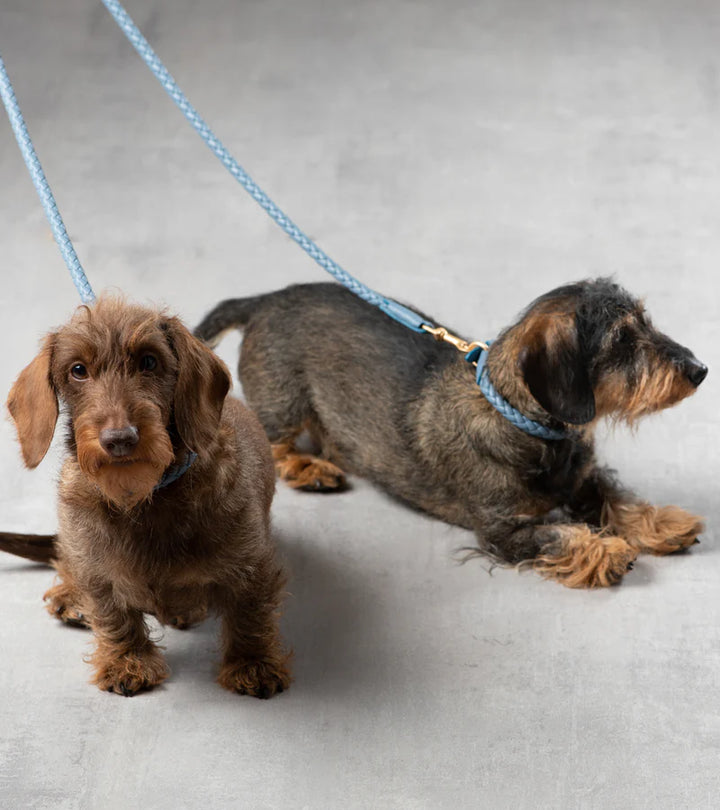 Ferdinando Braided Leather Leash for Dog | 2.8 Duepuntootto