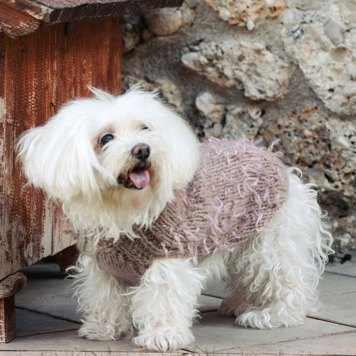 Camel Cap Sweater for Dogs in Camel with Pink Feathers | Vanity Pet