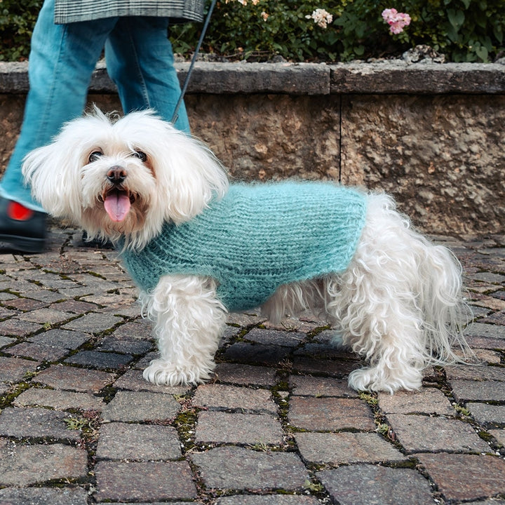 Fluffy Green Mohair and Silk Dog Sweater | Vanity Pet