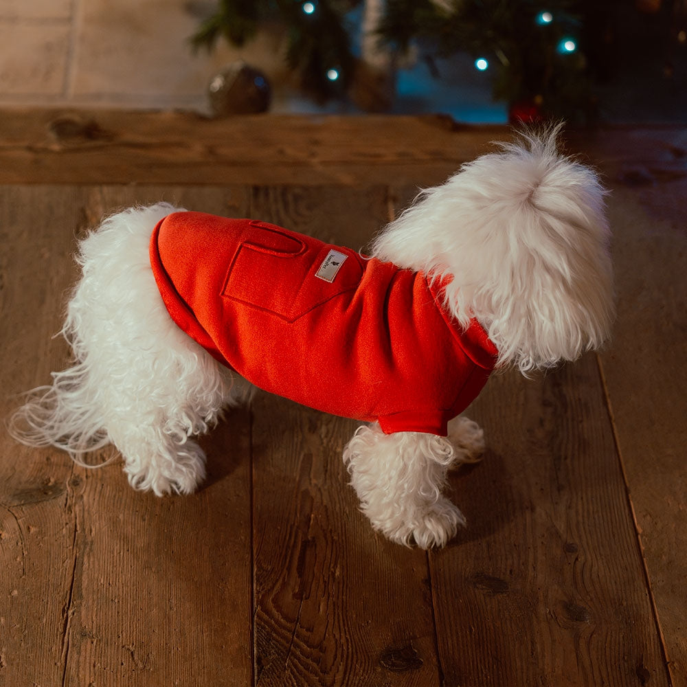 Monocrome Casetta Cotton Dog Sweatshirt With House Appliqué | Vanity Pet