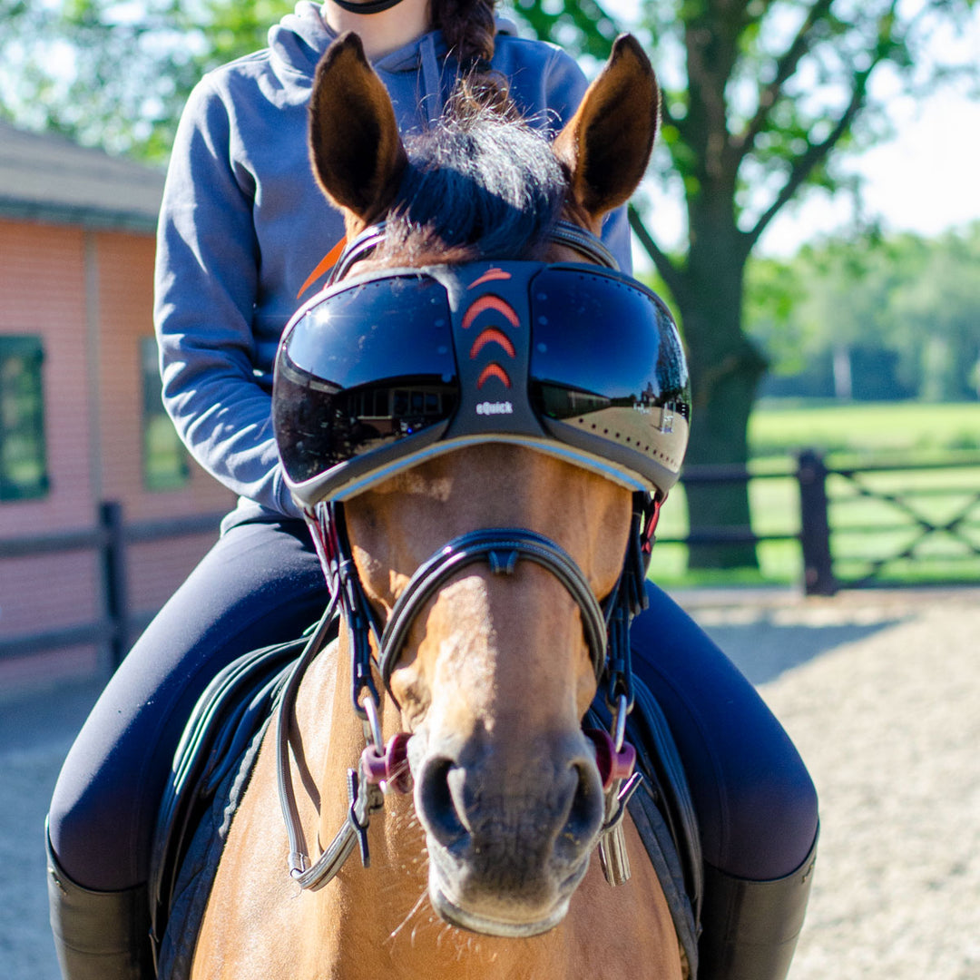 Evysor Eyes Protector | Equick Luxury Equestrian Gear Made in Italy