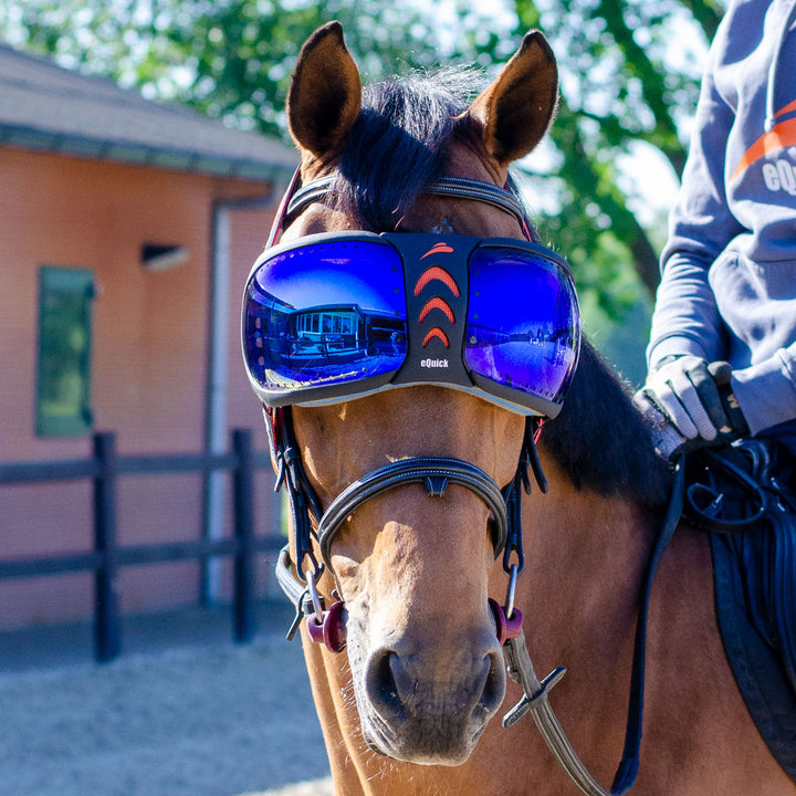 Evysor Eyes Protector | Equick Luxury Equestrian Gear Made in Italy