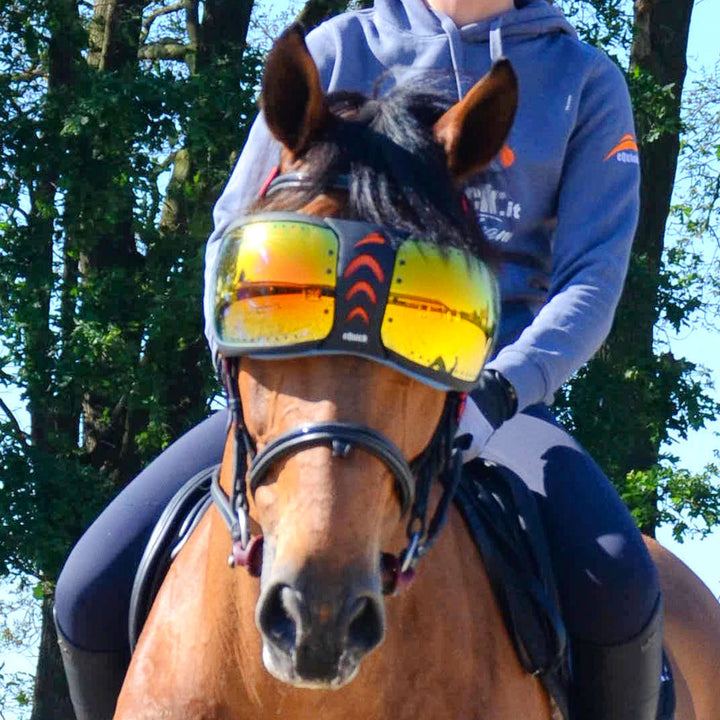 Evysor Eyes Protector | Equick Luxury Equestrian Gear Made in Italy