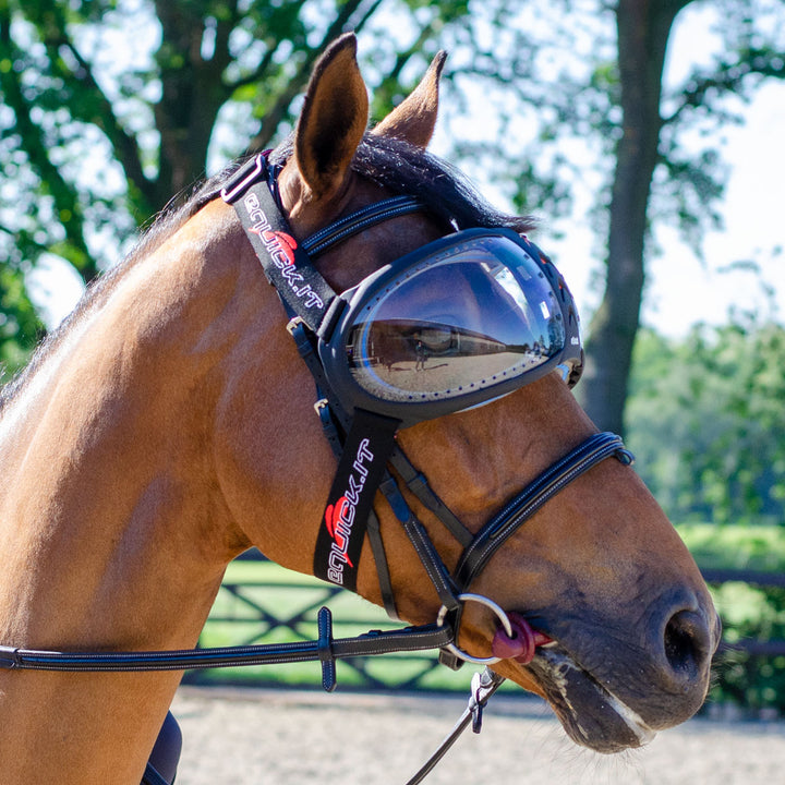 Evysor Eyes Protector | Equick Luxury Equestrian Gear Made in Italy
