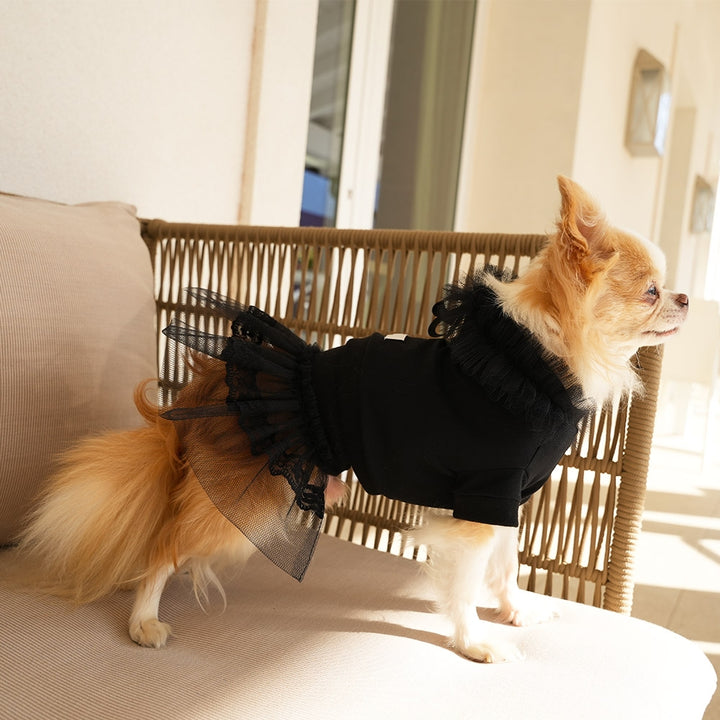 Urban Chic Hoodie Luxury Hoodie For Dog | Vanity Pet