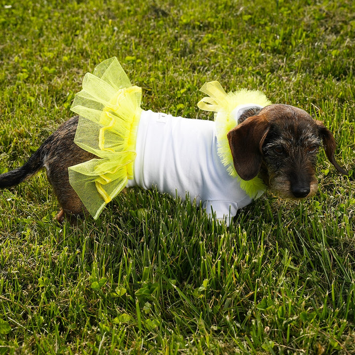 Urban Chic Hoodie Luxury Hoodie For Dog | Vanity Pet