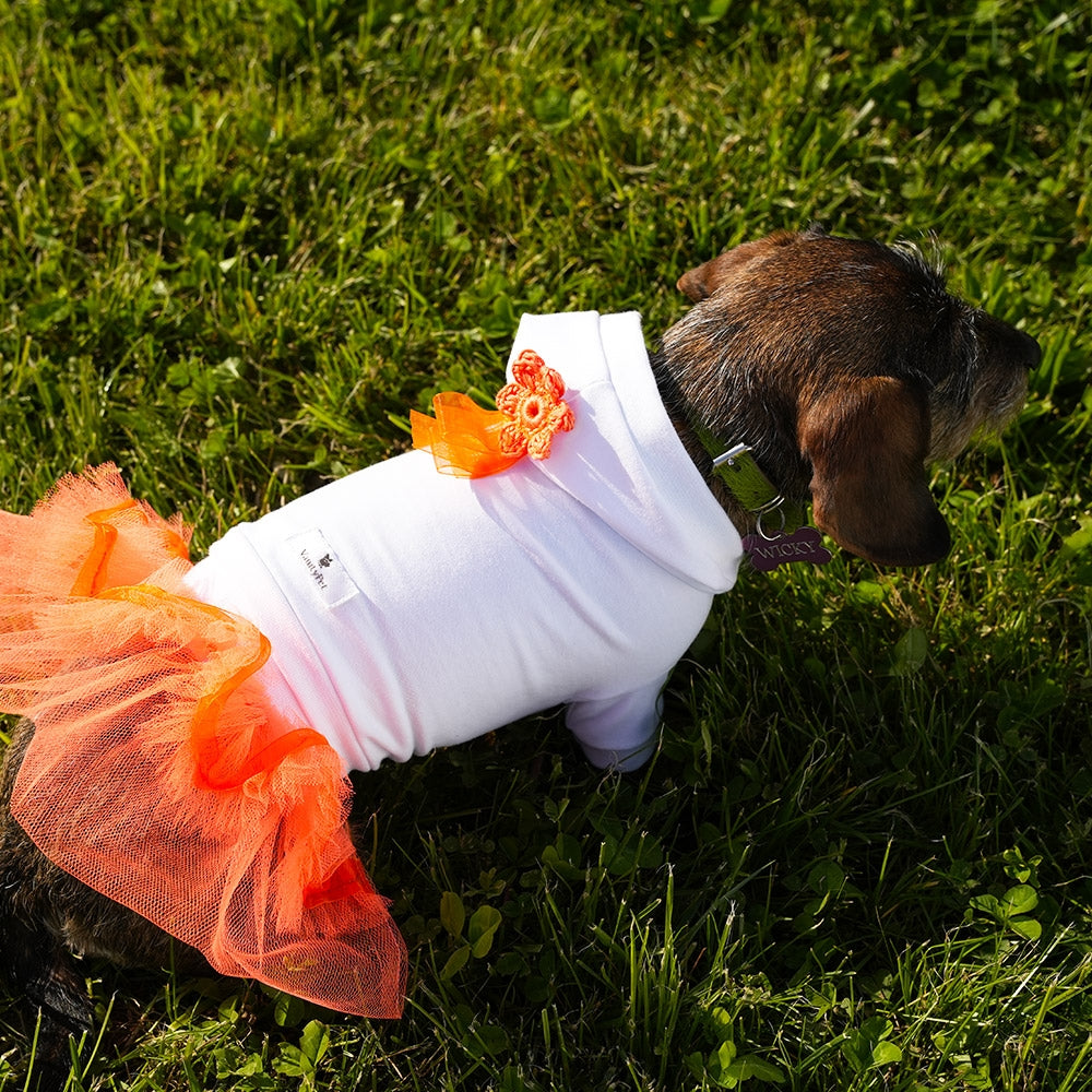 Urban Chic Hoodie Luxury Hoodie For Dog | Vanity Pet