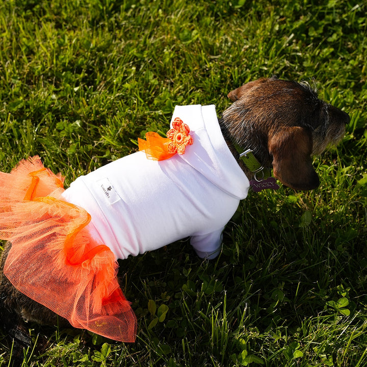 Urban Chic Hoodie Luxury Hoodie For Dog | Vanity Pet
