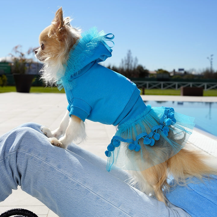 Urban Chic Hoodie Luxury Hoodie For Dog | Vanity Pet