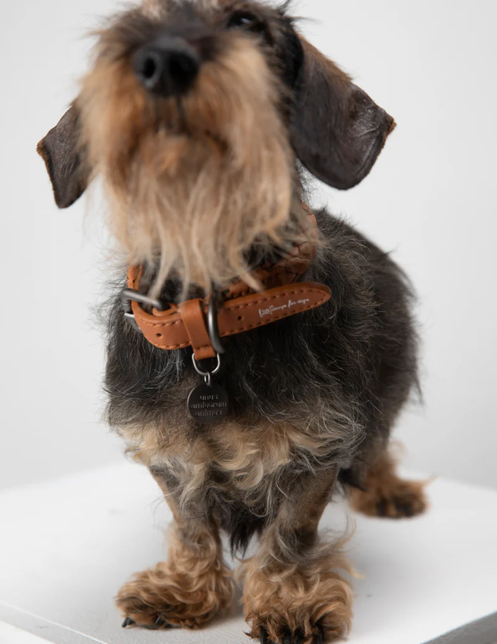 Ferdinando Braided Leather Collar for Dog | 2.8 Duepuntootto