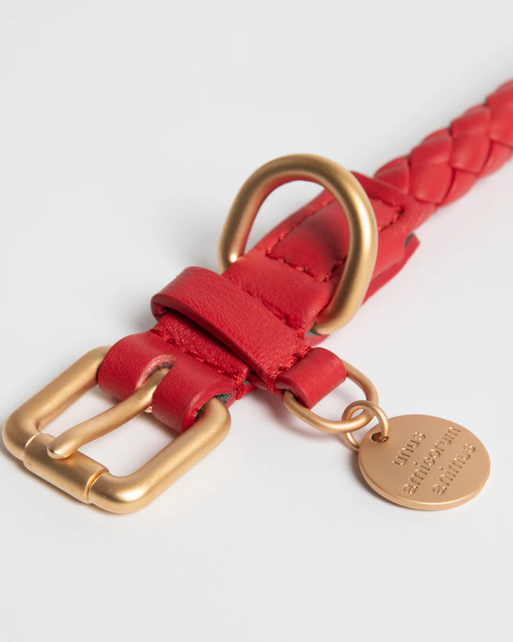 Ferdinando Braided Leather Collar for Dog | 2.8 Duepuntootto
