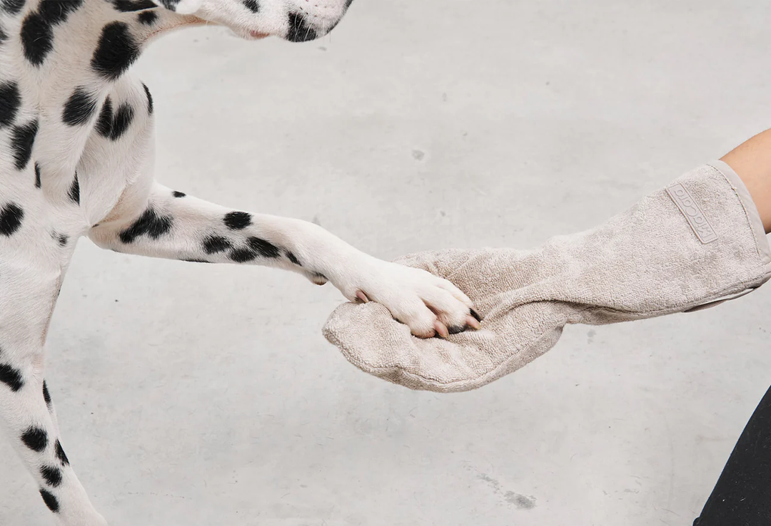 Guanto Dog Dry Glove - MiaCara Innovative Design