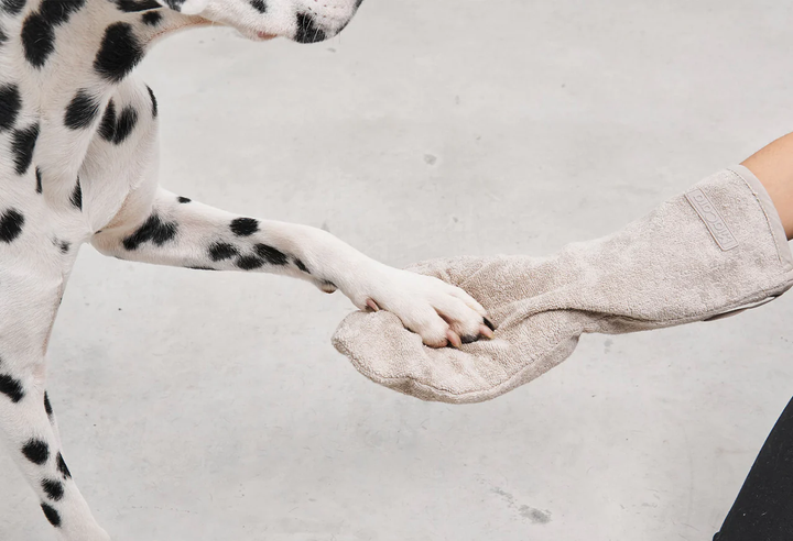 Guanto Dog Dry Glove - MiaCara Innovative Design