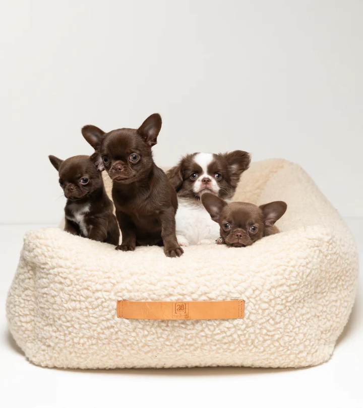 Henri - Bouclé Wool Bed for Dog | 2.8 Duepuntootto Design for Dogs