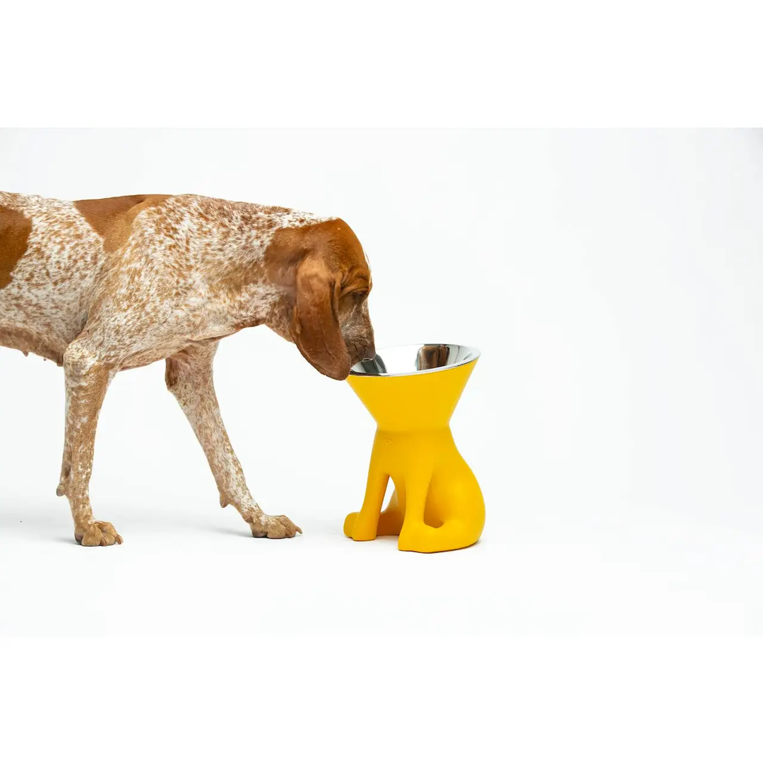 Elizabeth Raised Dog Bowl Innovative Stylish | United Pets Milano