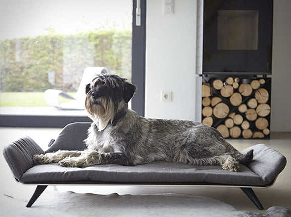 Letto Dog Luxury Day-Bed - MiaCara Innovation Design